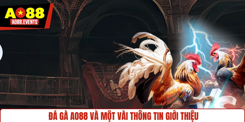 Đá gà AO88 và một vài thông tin giới thiệu