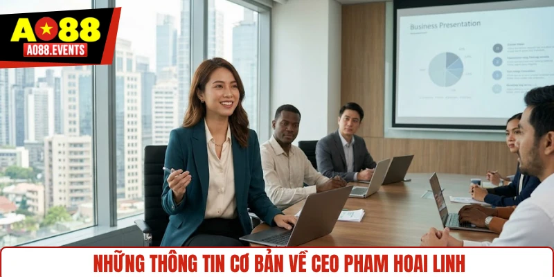 Những thông tin cơ bản về CEO Pham Hoai Linh